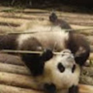 Meet your Posher, Ruby